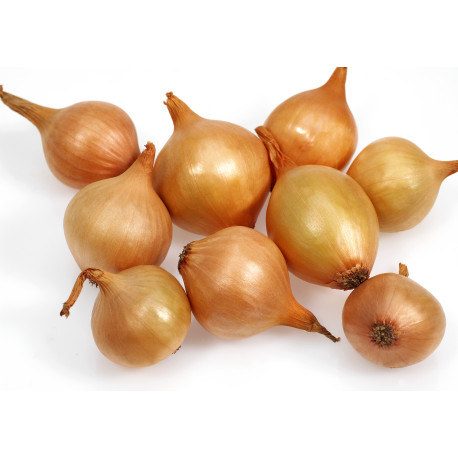 OIGNON GRELOT JAUNE 5KG